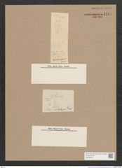 Navicula sp. (de-Toni-Nr.: Genus 1) Zeichnungen Sammlung Grunow Nr. 1514 (NHMW-BOT-W0368038)